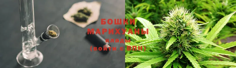 МАРИХУАНА OG Kush  Венёв 